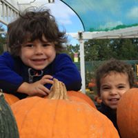 Susan Stockstill Photo 14