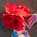 Rosa Moody Photo 9
