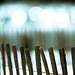 Don Cheek Photo 23