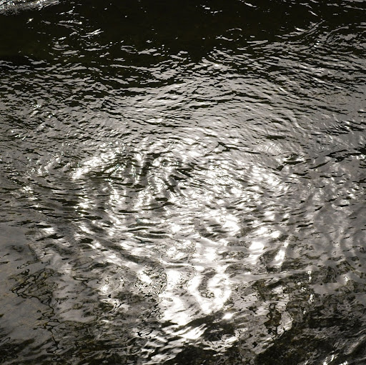 James Crane Photo 30