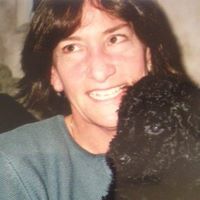 Terry Goldman Photo 36