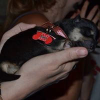 Beth Briggs Photo 24