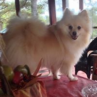 Judy Isbell Photo 16
