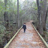 Tracie Raybourn Photo 1