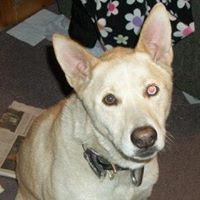 Amy Goodwin Photo 36