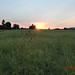 George Liu Photo 20