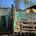 Linda Walling Photo 16