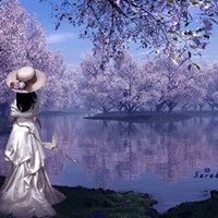 Kiran Qureshi Photo 11