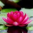 Carmen Ortiz Photo 27