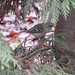 Diane Stout Photo 29
