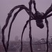 Norman Bourgeois Photo 8