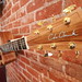 Cole Clark Photo 31