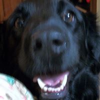 Karen Riggs Photo 30