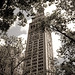 Ed Michels Photo 17