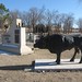 Steve Maxey Photo 17
