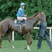 Willie Carson Photo 32