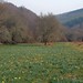 Clifford Meadows Photo 12