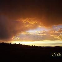 Angie Robison Photo 9