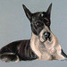 Sara Krug Photo 5