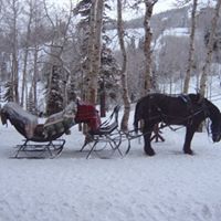 Michael Buchholz Photo 15