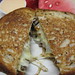 Patty Yoder Photo 8