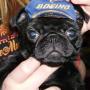 Tracy Meeks Photo 31