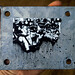 Robin Penny Photo 9