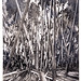 David Staats Photo 7
