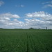 Sandra Field Photo 17