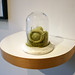 Martha Harris Photo 37