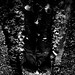 Christopher Balck Photo 11