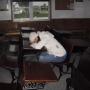 Jennifer Arrington Photo 25