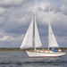 Ted Brewer Photo 21