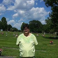 Susan Vineyard Photo 16