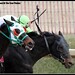 Richard Rein Photo 18