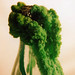 Crystal Green Photo 19