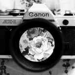 Sara Flowers Photo 40