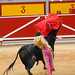 Raul Robles Photo 14