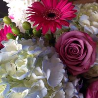 Heather Jewell Photo 21