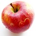 Barbara Apple Photo 13