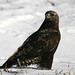 Terry Hawks Photo 15
