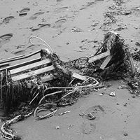 Rachel Bird Photo 9