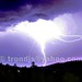 Lyn Powers Photo 11