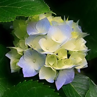 Linda Dick Photo 6