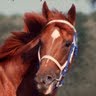 Nancy Blackburn Photo 33