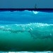 Annette Waters Photo 7
