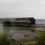 Patrick Laughlin Photo 9