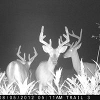 Billy Hurt Photo 16