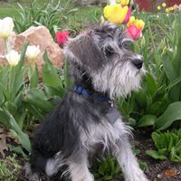 Ann Burns Photo 18