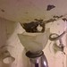 Julie Plumb Photo 11